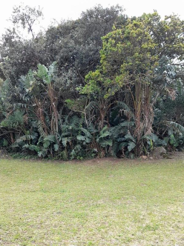 19 Montego Bay Caribbean Estate Apartment Port Edward Exterior photo