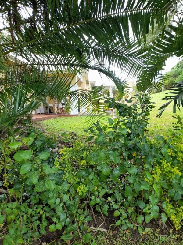 19 Montego Bay Caribbean Estate Apartment Port Edward Exterior photo
